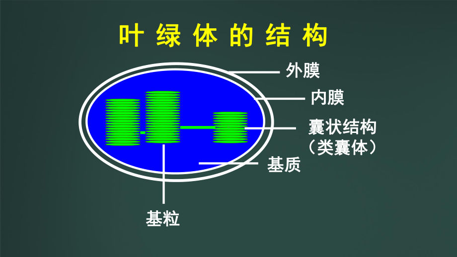 高中生物光合作用的原理和应用优质课课件.ppt_第2页