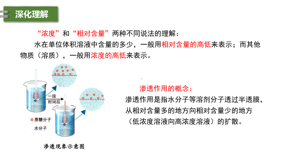 高中生物必修1优质课：41-被动运输课件.pptx_第3页