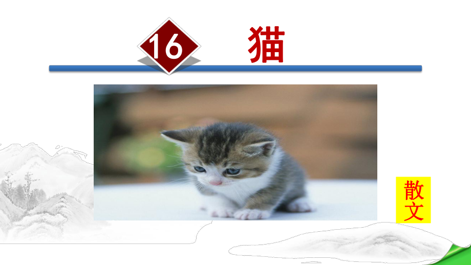 部编版语文七年级上册第5单元：16猫课件.pptx_第1页