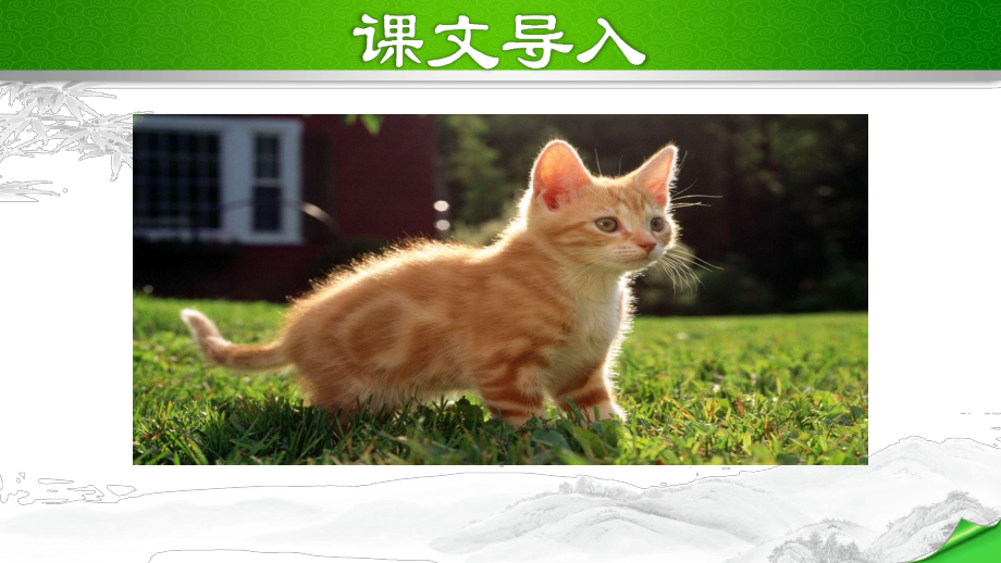 部编版语文七年级上册第5单元：16猫课件.pptx_第2页