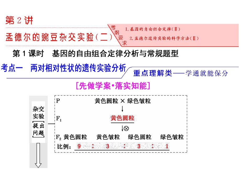 高三生物一轮复习课件：必修2-第1单元-第2讲-第1课时-基因的自由组合定律分析与常规题型.ppt_第2页