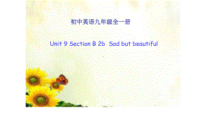 人教版九年级英语-Unit-9-I-like-music-that-I-can-dance-toSection-B-(2a-2e)-公开课教学课件共.ppt