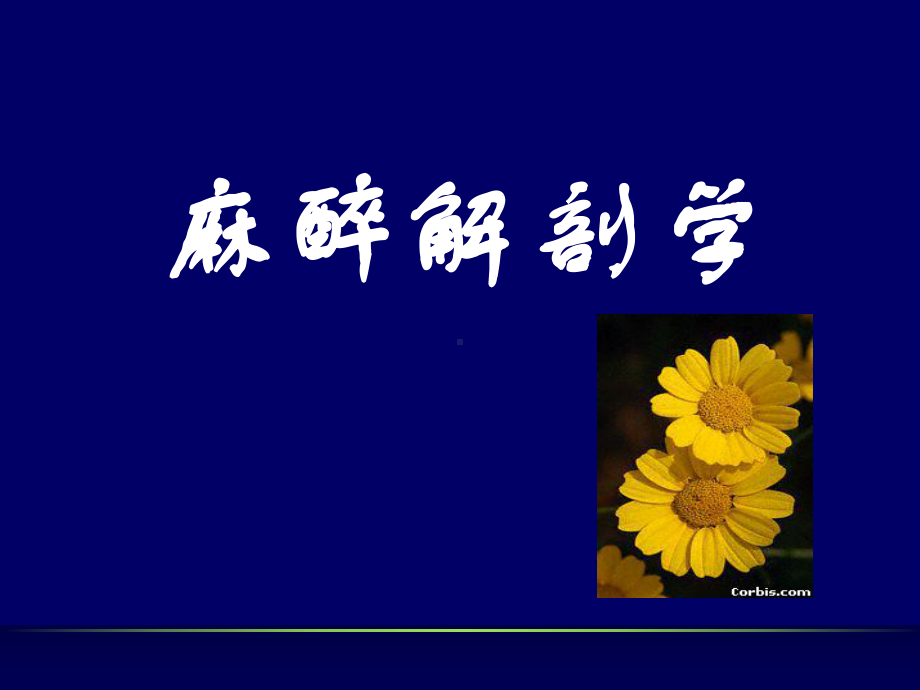 麻醉解剖学(上下肢)课件.ppt_第1页