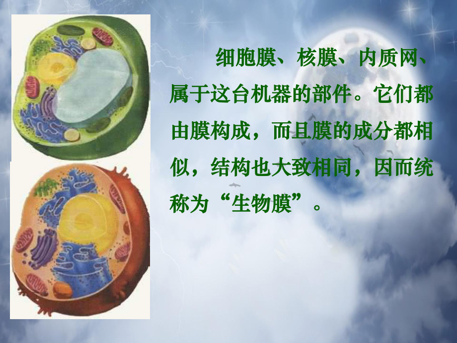 生物膜系统教学课件.ppt_第2页