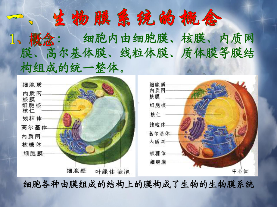 生物膜系统教学课件.ppt_第3页