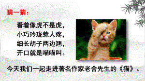 部编版四年级语文下册猫(公开课课件).pptx