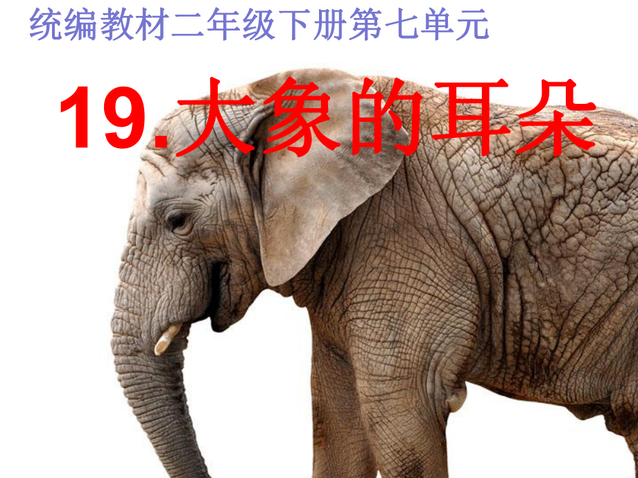 部编版人教版二年级语文下册19-大象的耳朵-课件(绝对).ppt_第1页