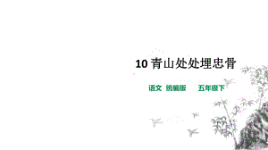 部编版五年级下册语文-10青山处处埋忠骨第二课时课件.pptx