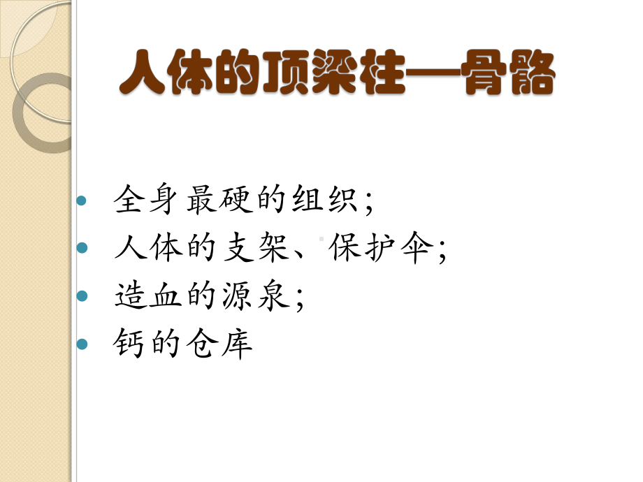 骨骼系统讲义课件.ppt_第2页