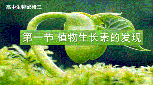 植物生长素的发现公开课无声上课核心素养优质课件.ppt