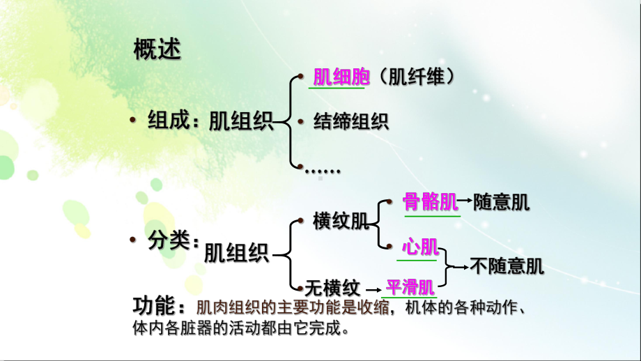 高中生物《肌肉和神经》公开课课件.ppt_第3页