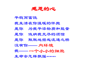 内环境及稳态一轮yong课件.ppt