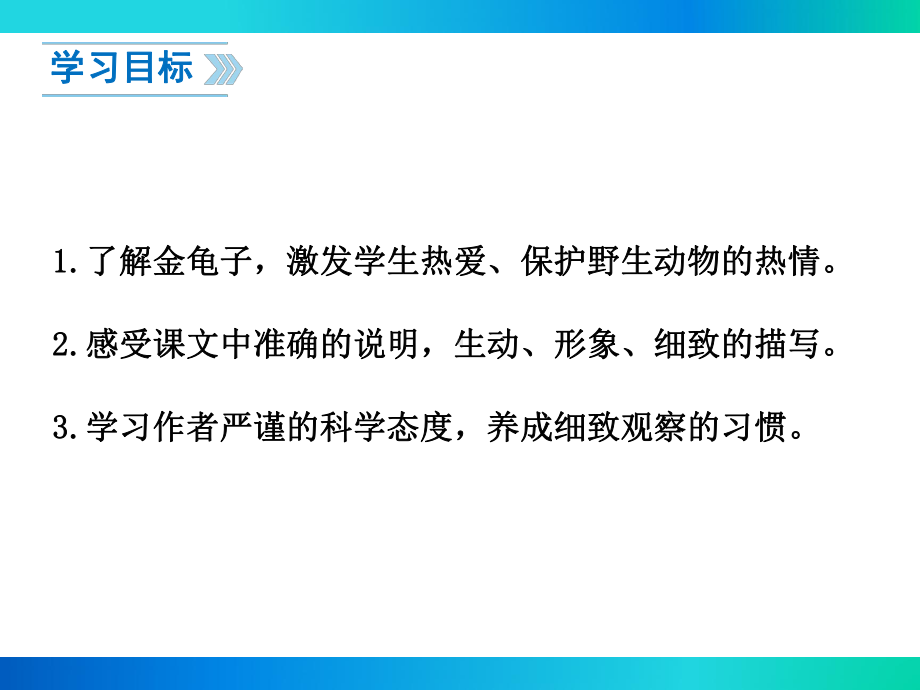 部编苏教版七年级语文下册《松树金龟子》课件.ppt_第2页