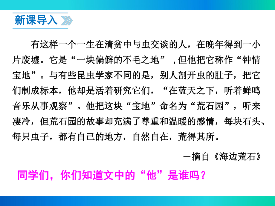 部编苏教版七年级语文下册《松树金龟子》课件.ppt_第3页