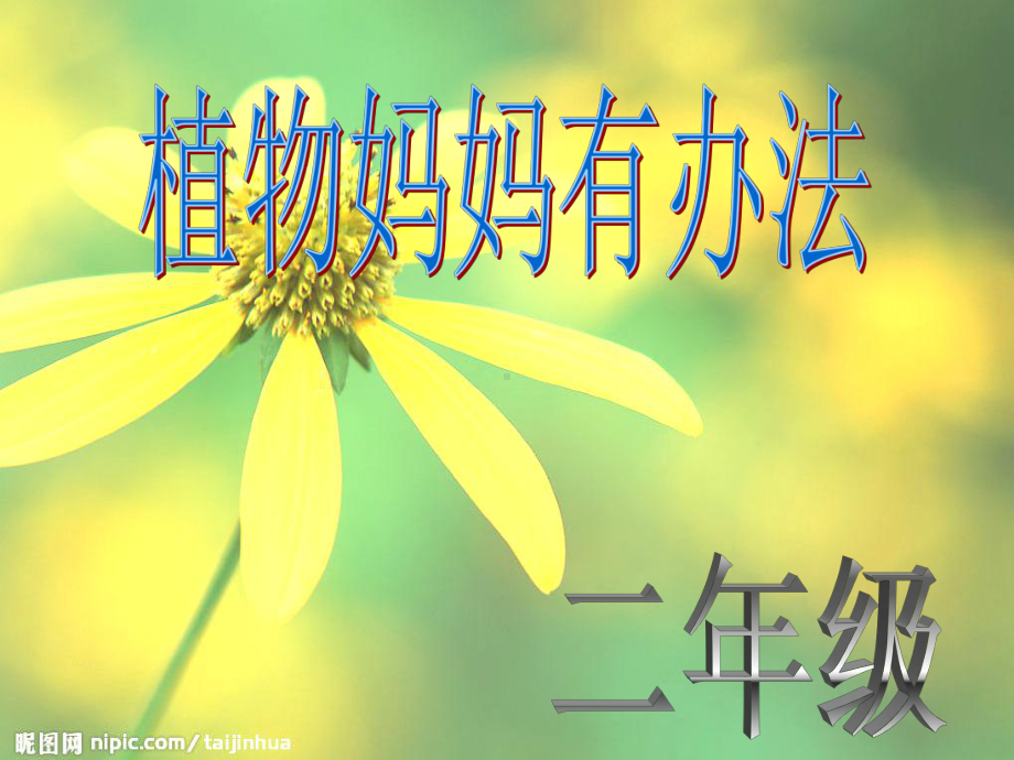 植物妈妈有办法》1课件.ppt_第1页