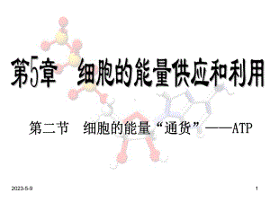 52-细胞的能量“通货”-—ATP课件.ppt