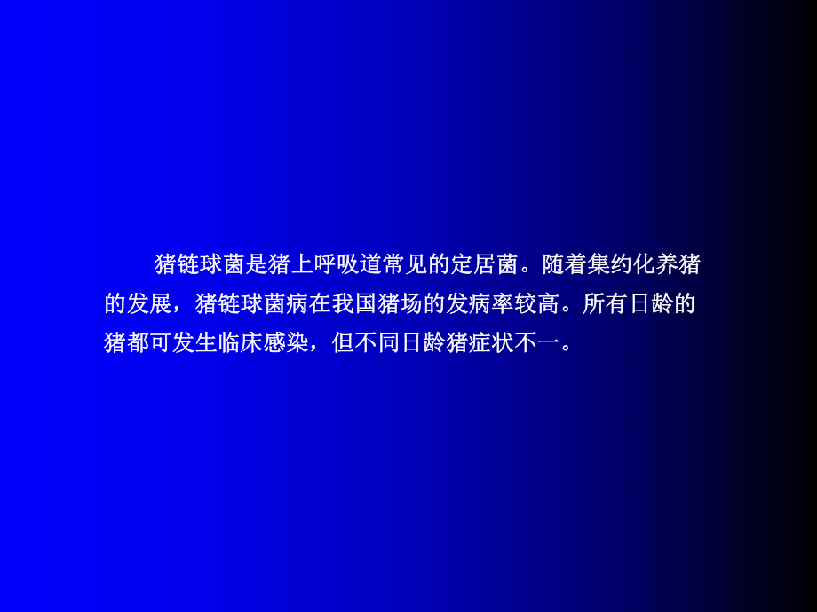 猪链球菌病课件.ppt_第2页