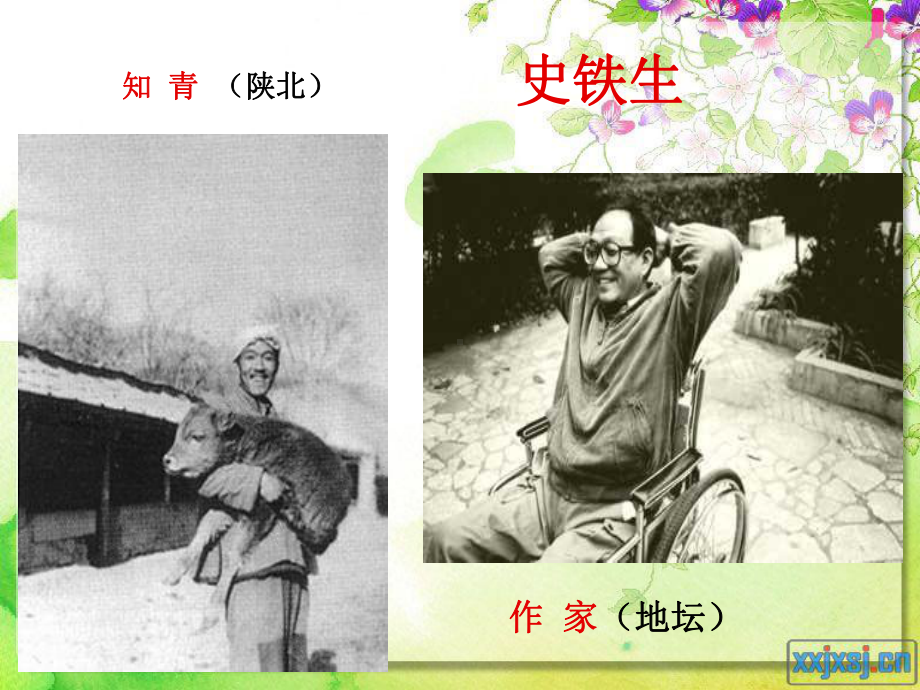 合欢树yuan.ppt_第2页