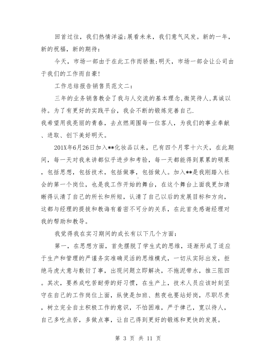 工作总结报告销售员(DOC 11页).doc_第3页