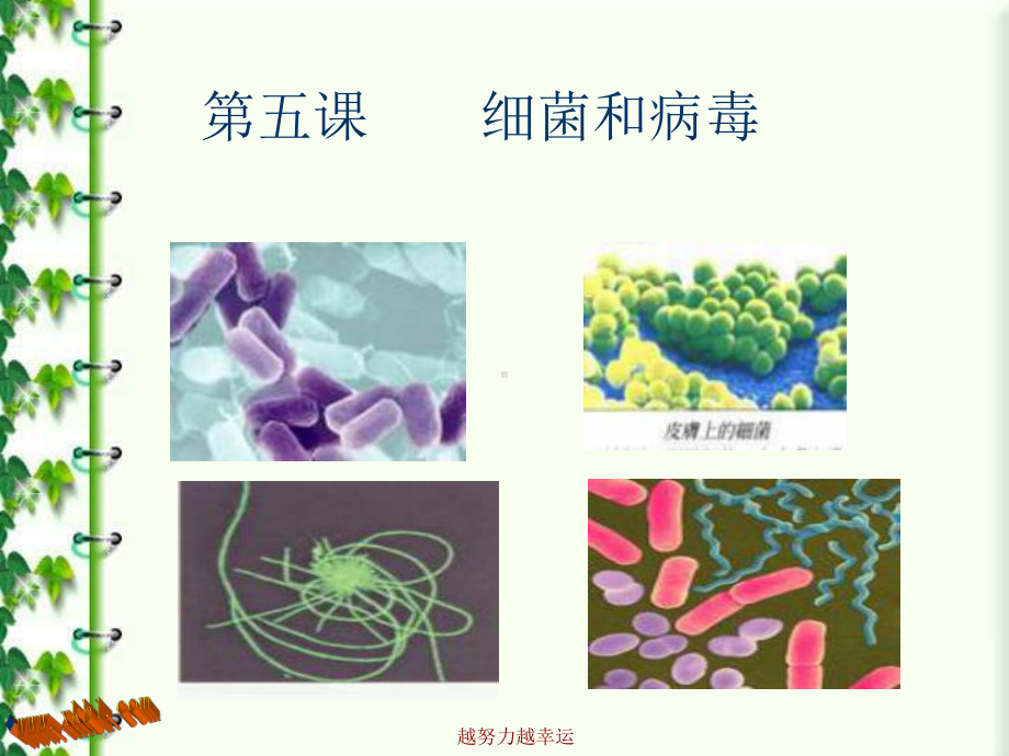 小学科学细菌和病毒课件.ppt_第1页