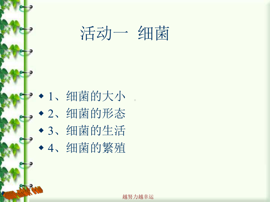 小学科学细菌和病毒课件.ppt_第2页