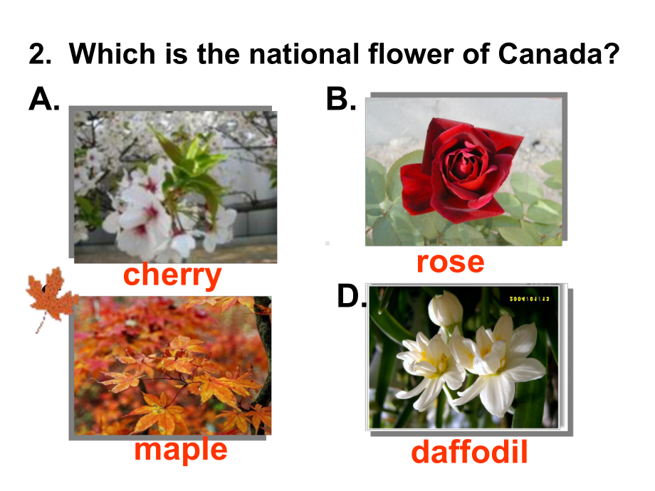 高一英语人教新课标必修三-Unit5-Canada-Reading课件.ppt_第3页