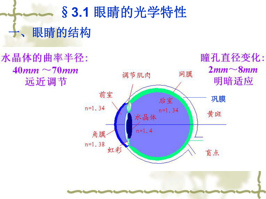 工程光学设计-第3章-眼睛和目视光学系统课件.ppt_第2页