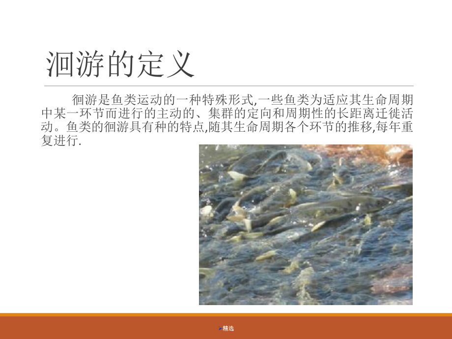 鱼类洄游(总)详细版课件.ppt_第2页