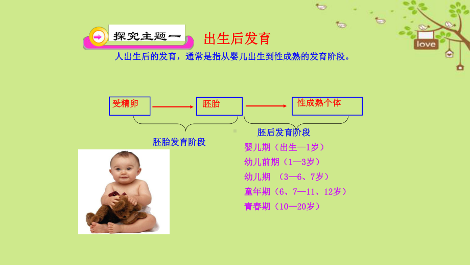 最新北师大版八年级生物上册第19章《生物的生殖发育》共3课时教学课件.pptx_第3页