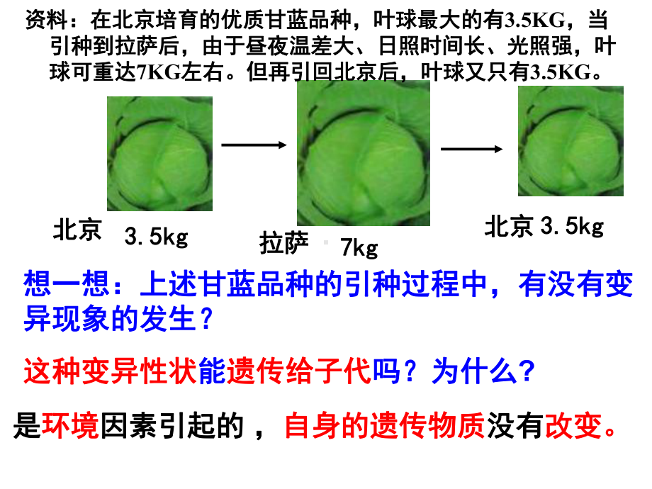 2021届高三一轮复习基础知识详讲课件：11-基因突变和基因重组.ppt_第1页