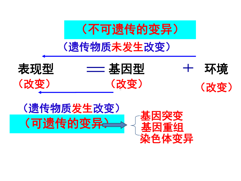 2021届高三一轮复习基础知识详讲课件：11-基因突变和基因重组.ppt_第3页