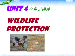 高一英语必修2unit4-Wildlife-Protection-单元课件.ppt