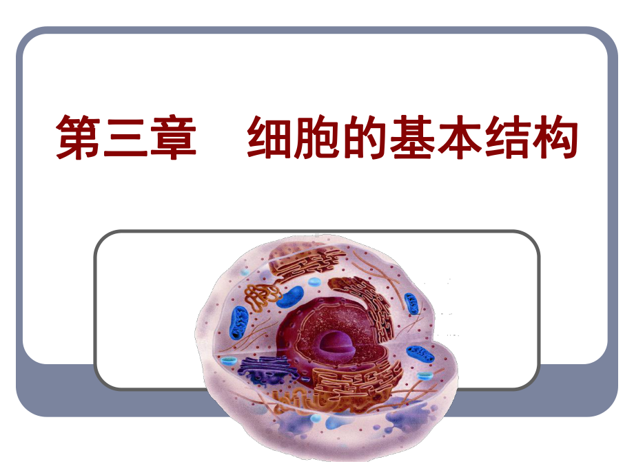 优质课-必修一生物第三章第一节《细胞膜-系统的边界》课件35.ppt_第3页