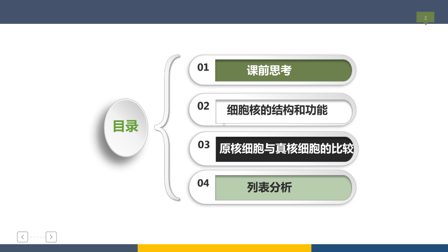 高中生物原核细胞与真核细胞的比较课件.ppt_第2页