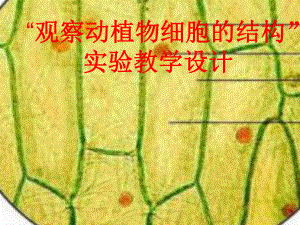 观察动植物的细胞结构-公开课课件获奖.ppt