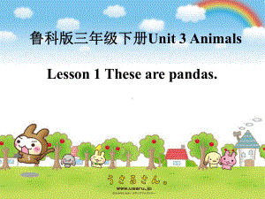 鲁科版小学英语三年级下册《Unit-3-AnimalsLesson-1-These-are-pandas》课件.ppt