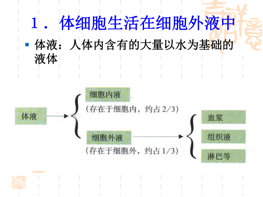 第1章-人体的内环境与稳态课件.ppt_第3页