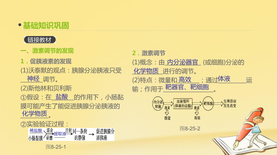 高考生物(全国版)一轮复习课件：第25讲-激素调节、神经调节与体液调节的关系.ppt_第3页