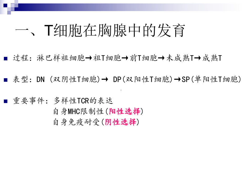 T淋巴细胞4-10-下午资料课件.ppt_第3页