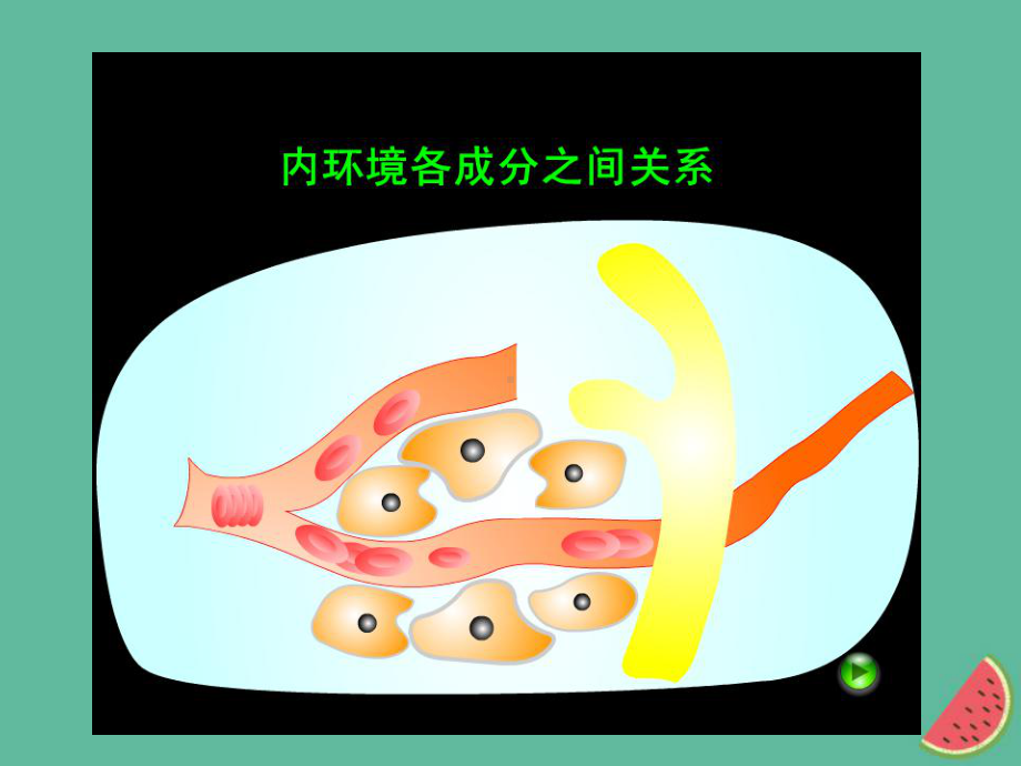 高中生物第一章人体的内环境与稳态12内环境稳态的重要性课件新人教版必修3.ppt_第2页