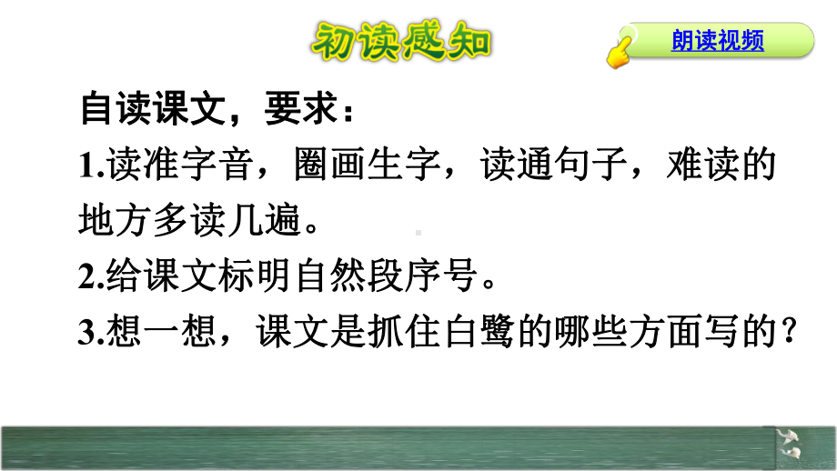 部编版五年级语文上册《白鹭》课件.pptx_第3页