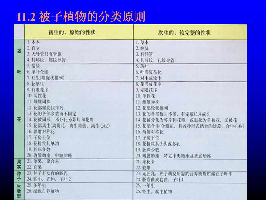 植物学被子植物1课件.ppt_第3页