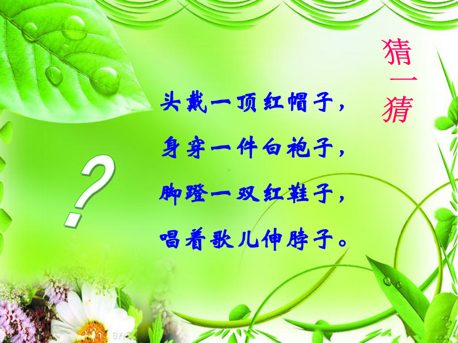 咏鹅付亚曦.ppt_第2页