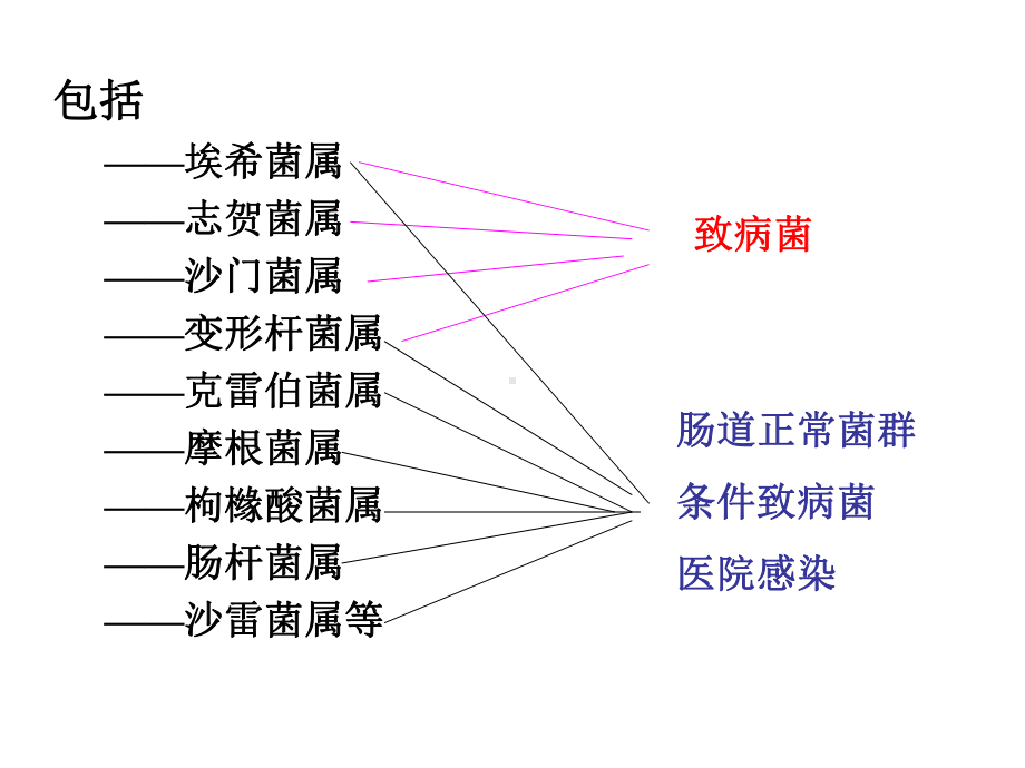 病原生物学-消化道感染细菌课件.ppt_第3页