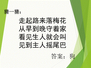 苏少版美术七上第四课《人类的朋友》课件.ppt