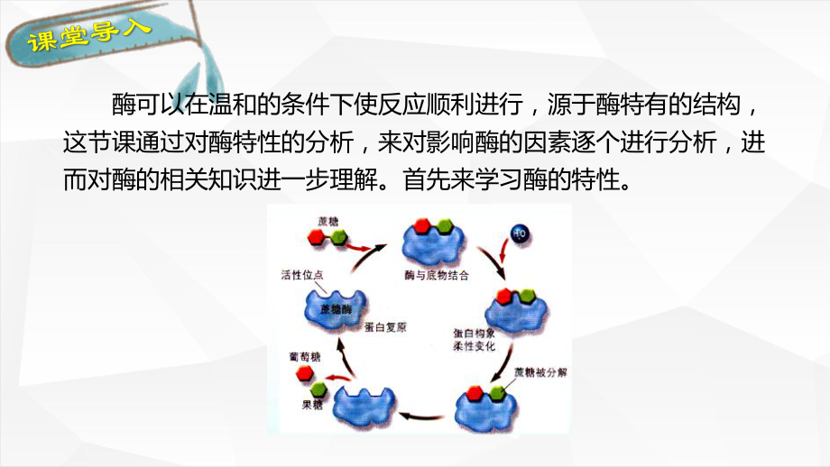 高中生物必修1优质课：512-酶的特性课件.pptx_第2页