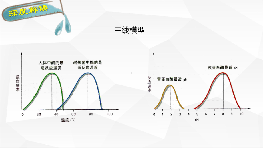 高中生物必修1优质课：512-酶的特性课件.pptx_第3页