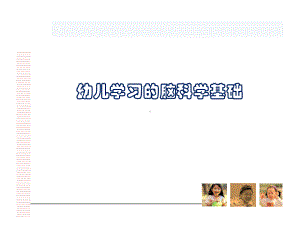 幼儿学习的脑科学基础课件.ppt