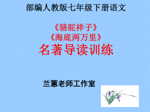 部编版语文七年级下册2本必读名著导读-阅读练习题(带答案)课件.ppt