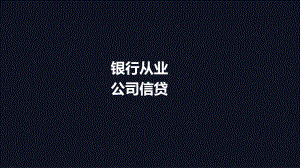 银行从业资格考试-专题-银行从业-公司信贷-习题班讲义课件.ppt